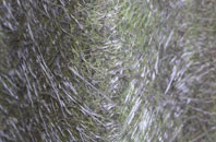 Fredley fibreglass roof work